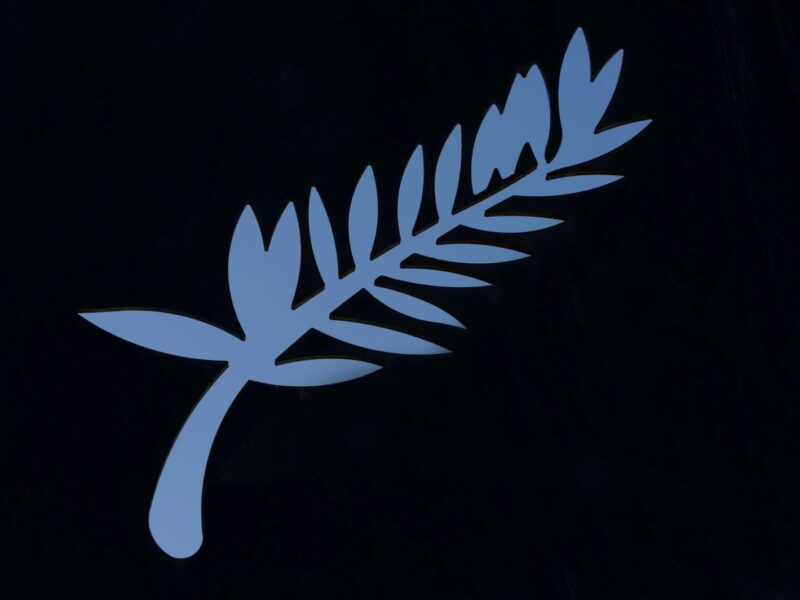 Cannes Filmfestival 2025: Stjernespækket Program Afsløret