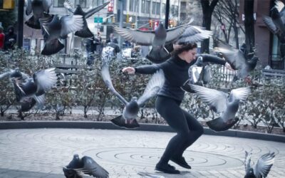 Im Kielwasser des Ja: Eine Tanzperformance über Verbindung und Wandel