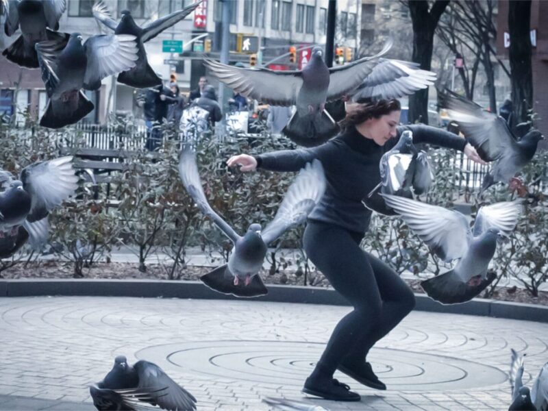 凯瑟琳·塔林舞蹈呈献世界首演：探索连接、记忆与变迁