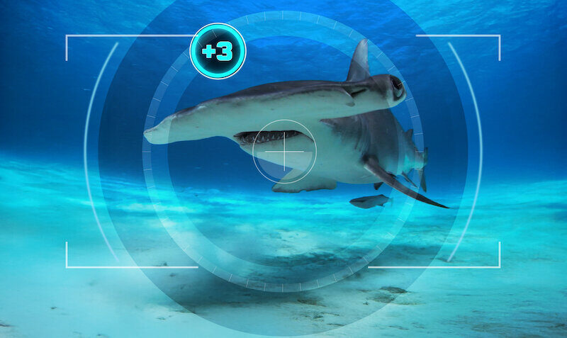 Netflix’in ‘Bir Dünya Köpek Balığı’ Dizisi, Yüksek Riskli Rekabeti Küresel Bir Koruma Misyonuyla Birleştiriyor