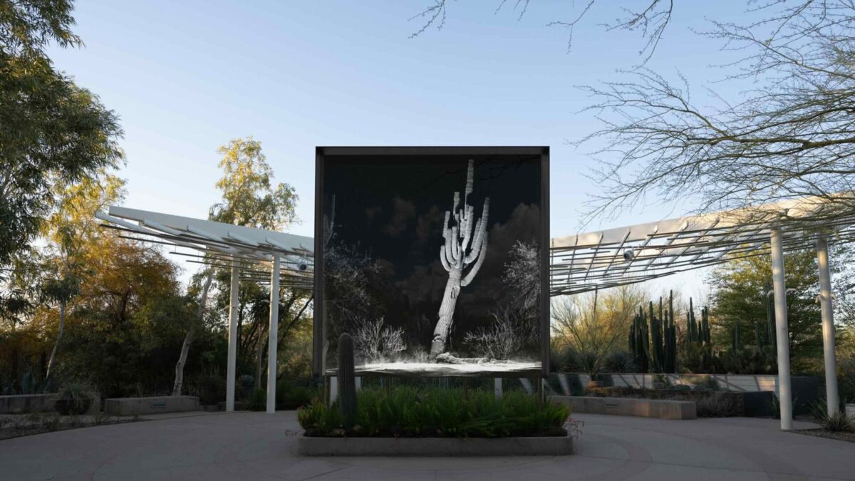 FRAMERATE: Desert Pulse – Una interrogación tecnológica del desierto de Sonora