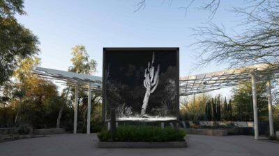 ScanLAB Projects, FRAMERATE: Desert Pulse