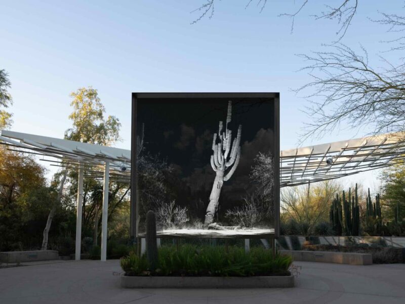 FRAMERATE: Desert Pulse – 소노라 사막에 대한 기술적 탐구