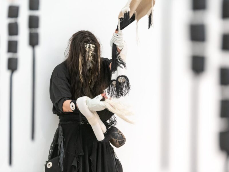 에릭-폴 리제의 ojo|-|ólǫ́, 박물관 아카이브의 시선으로 본 디네 직조