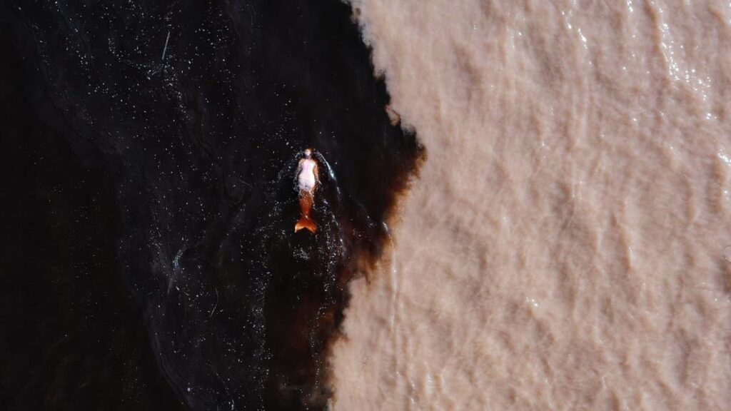 테이트 세인트 아이브스, 에밀리야 슈카르눌리테 작가의 대규모 개인전 개최