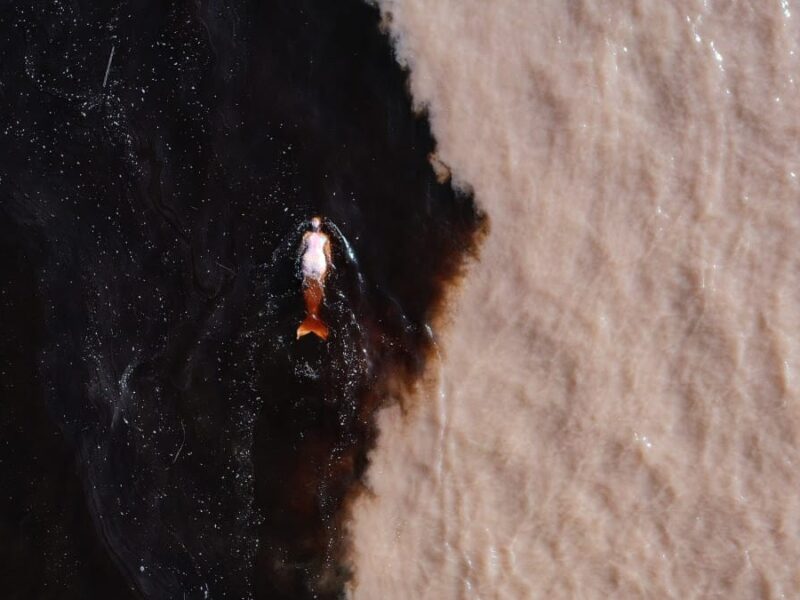 테이트 세인트 아이브스, 에밀리야 슈카르눌리테 작가의 대규모 개인전 개최