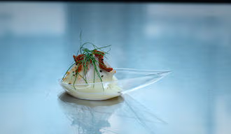 Next Gen Chef Debuts