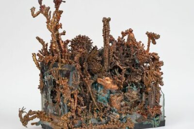 Max Hooper Schneider: Scavenger la 125 Newbury marchează prima expoziție personală a artistului la New York