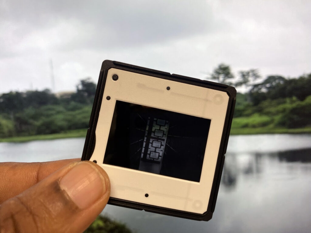 테이트 브리튼 ‘아트 나우(Art Now)’가 오니예카 이그웨의 our generous mother를 선보인다