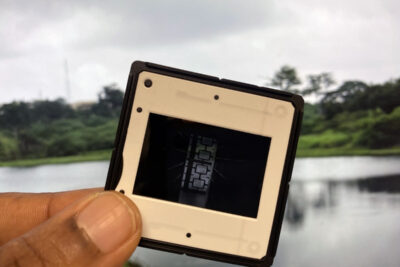 泰特不列颠美术馆“Art Now”呈现 Onyeka Igwe 的 our generous mother