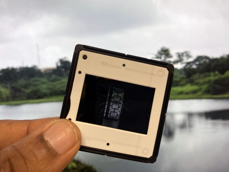 테이트 브리튼 ‘아트 나우(Art Now)’가 오니예카 이그웨의 our generous mother를 선보인다