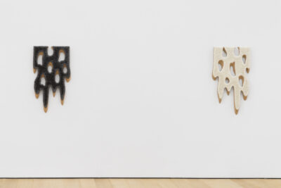 알렉산더 그레이 어소시에이츠에서 열리는 도널드 모페트의 ‘스노우플레이크’: 추상에서의 정치적 호명 조건을 검토하다