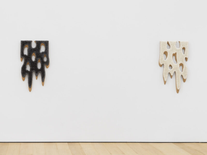 알렉산더 그레이 어소시에이츠에서 열리는 도널드 모페트의 ‘스노우플레이크’: 추상에서의 정치적 호명 조건을 검토하다