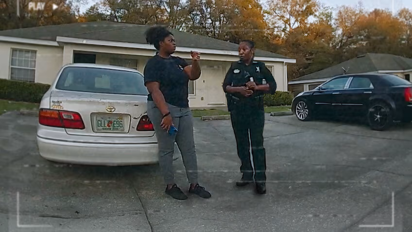 The Perfect Neighbor