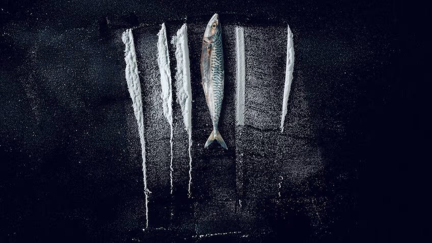 Turn of the Tide The Surreal Story of Rabo de Peixe