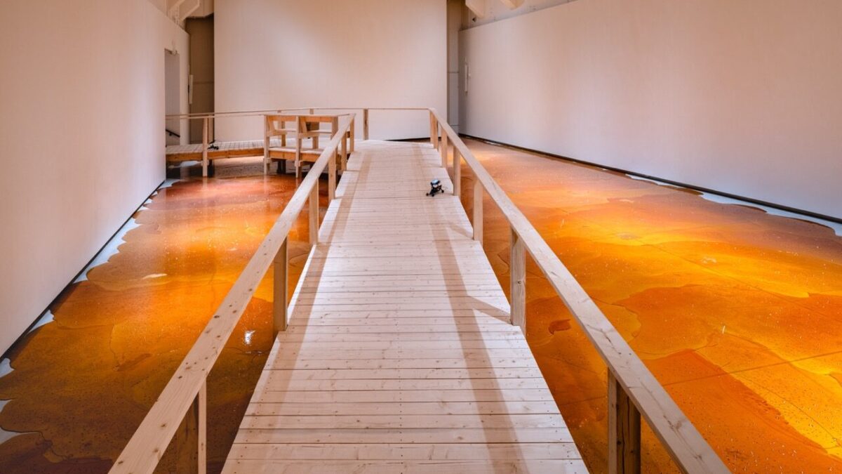 MIT List Visual Arts Center에서 골딘+세네비의 “Flare-Up”은 면역을 생태와 권력을 읽는 렌즈로 전환한다