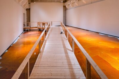 En el MIT List Visual Arts Center, “Flare-Up” de Goldin+Senneby convierte la inmunidad en un prisma para leer ecología y poder