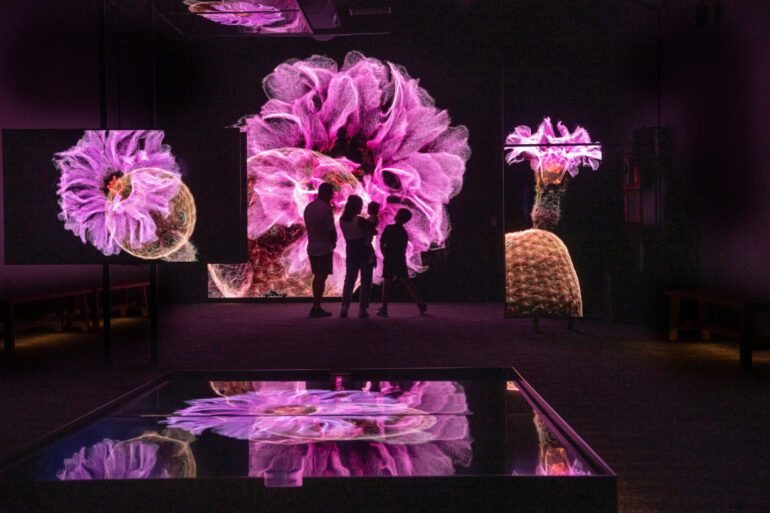 FRAMERATE: Desert Pulse mapeia um ano de mudanças sutis no Deserto de Sonora