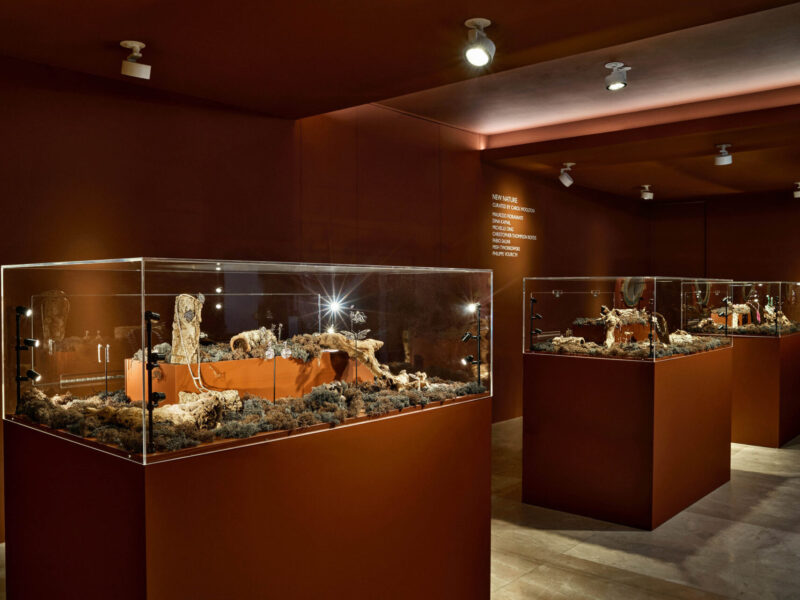 La David Gill Gallery de Londres analiza la biofilia contemporánea en la exposición ‘New Nature’