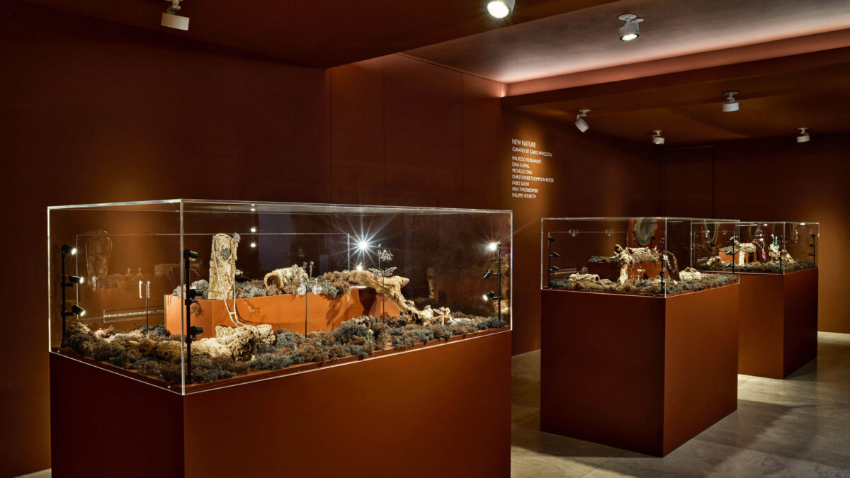 A David Gill Gallery de Londres analisa a biofilia contemporânea na exposição ‘New Nature’