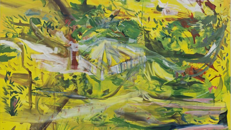 CRB.2024.0034-The-Serpentine-