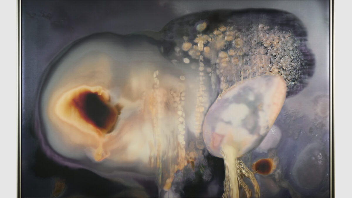 El pulso de la materia frente al vacío digital: la dialéctica física de Art Basel Hong Kong