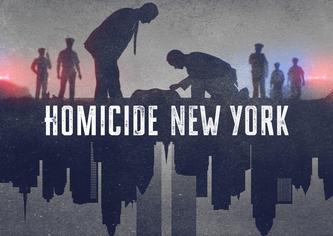 《凶杀重案实录》——还原那些被系统封存为”意外”的纽约杀人案