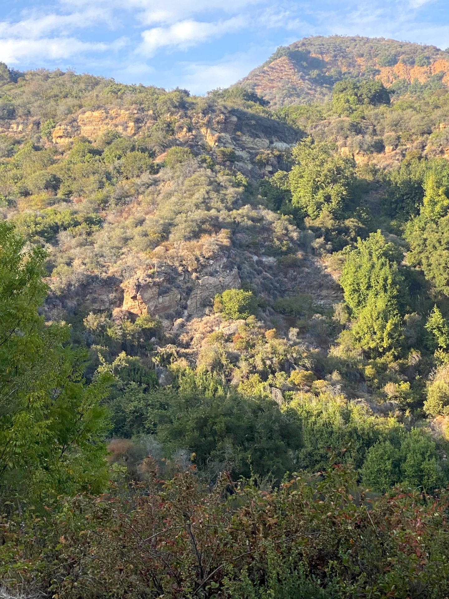 Filming in Topanga Canyon, Los Angeles.