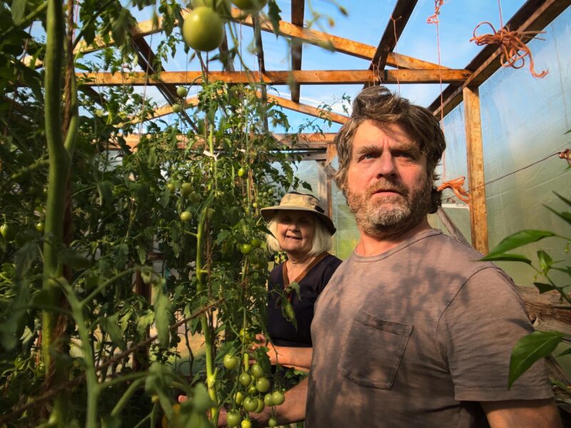 《真心园艺秀》Netflix：扎克·加利费安纳基斯用喜剧讲食品安全