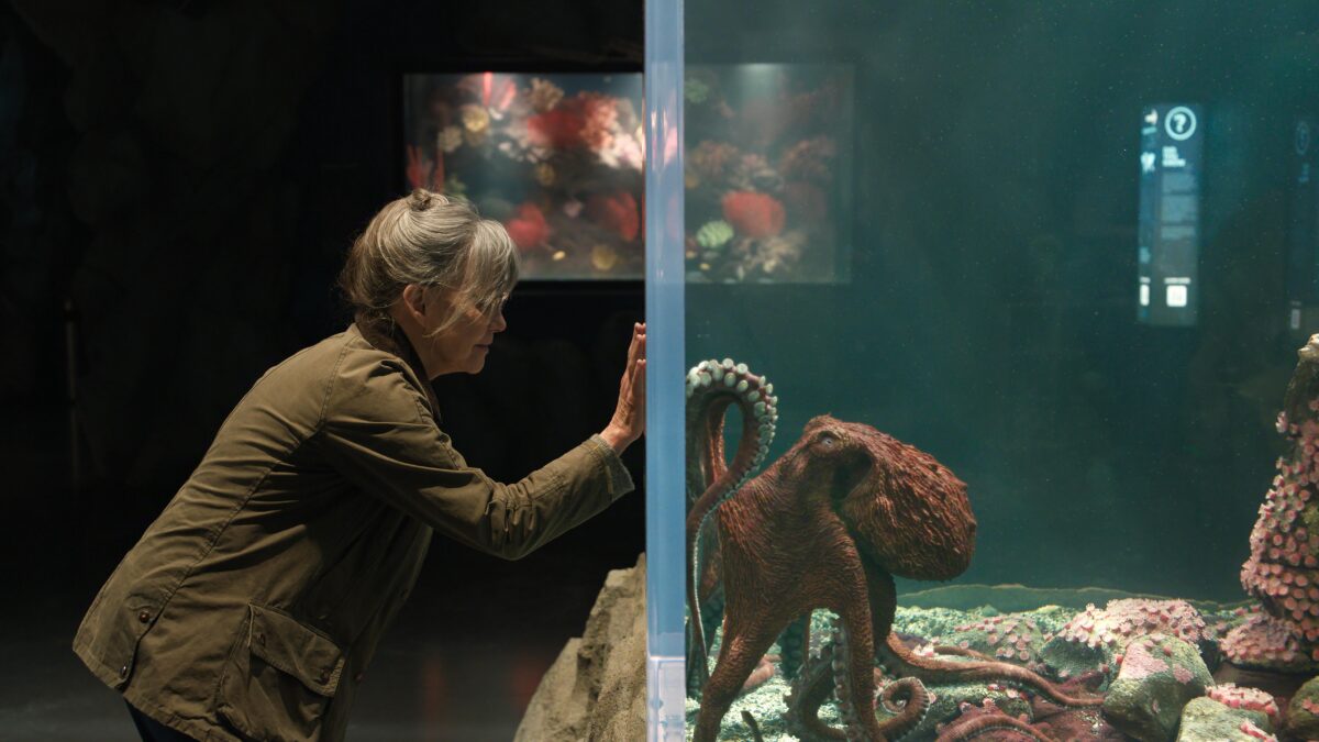 Criaturas luminosas: Sally Field solo confía en un pulpo en Netflix