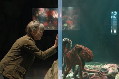 Remarkably Bright Creatures - Netflix
