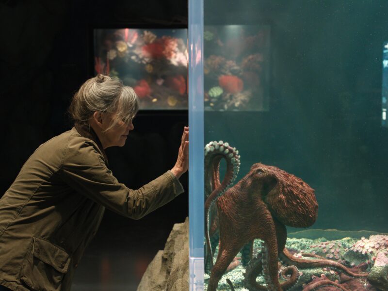 Criaturas luminosas: Sally Field solo confía en un pulpo en Netflix