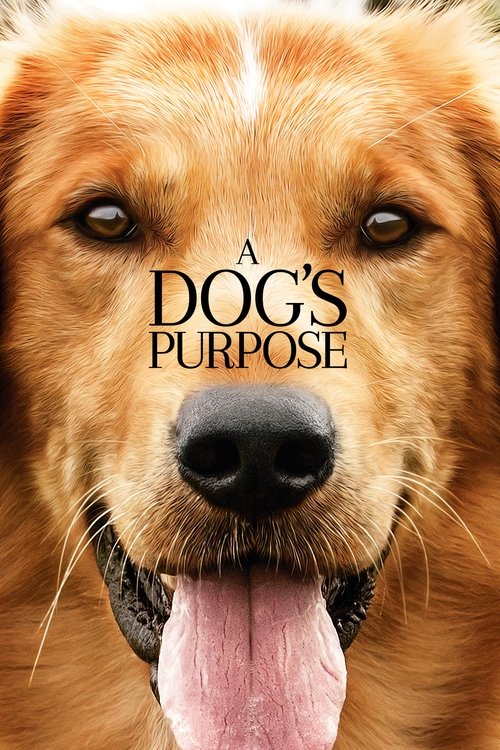 Mes vies de chien (2017)