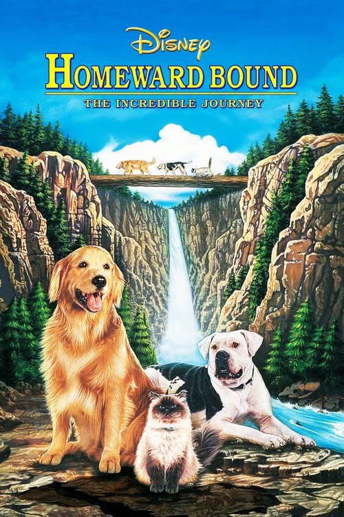 奇跡の旅 (1993)