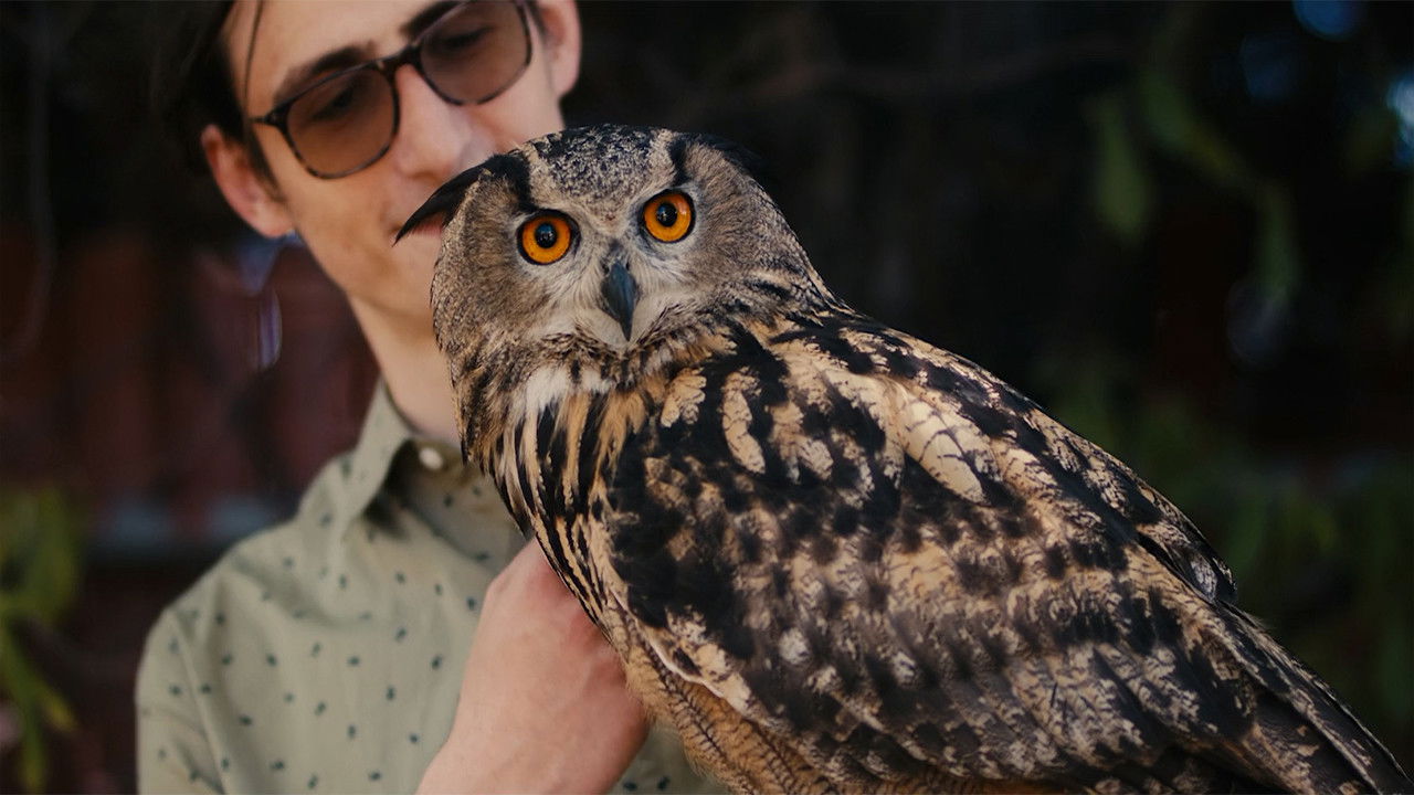 Rite of the Shaman: A Visually Stunning yet Emotionally Distant Coming-of-Age Tale