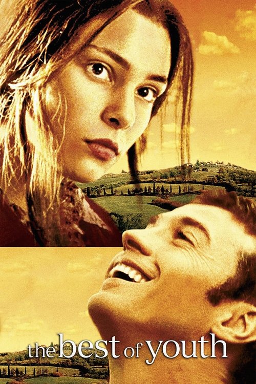 Nos meilleures années (2003)