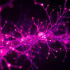 Abstract neural network connectome visualization — glowing synapse nodes and branching axon pathways in deep moody atmosphere