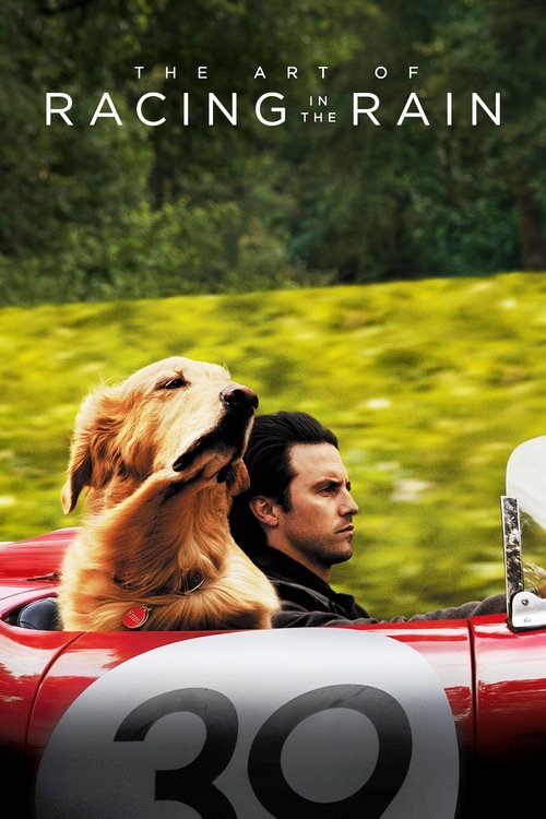 Dans les yeux d'Enzo (2019)