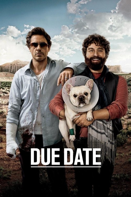 Date Limite (2010)