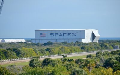 SpaceX cai abaixo do preço do IPO e Cathie Wood compra US$ 51 milhões