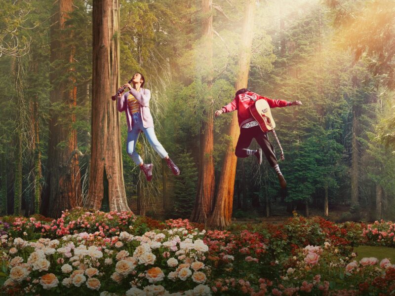 The Sky Is Everywhere: visualmente brillante pero narrativamente confusa
