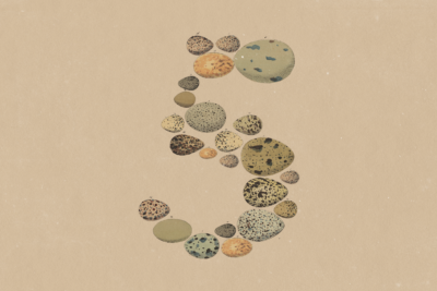 Claude Opus 5 — Anthropic
