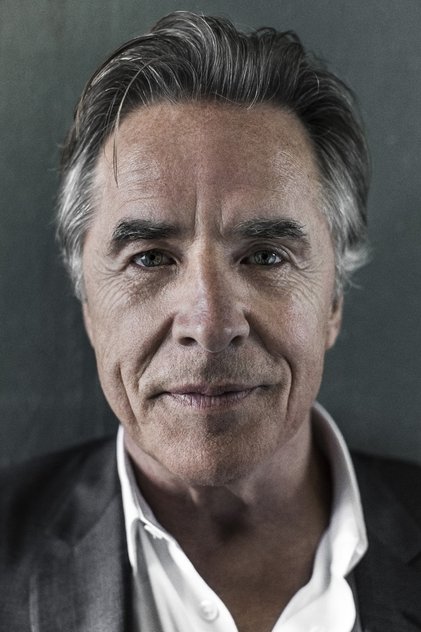 Don Johnson as Ray