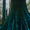 「Our Living World: 生きている地球」Netflixのドキュメンタリーシリーズ：エコロジカルバランスを通じた地球へのトリビュート