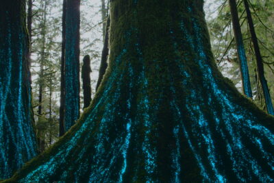 Un mondo di vita (2024) Serie documentaria su Netflix: Un tributo al pianeta Terra attraverso l’equilibrio ecologico