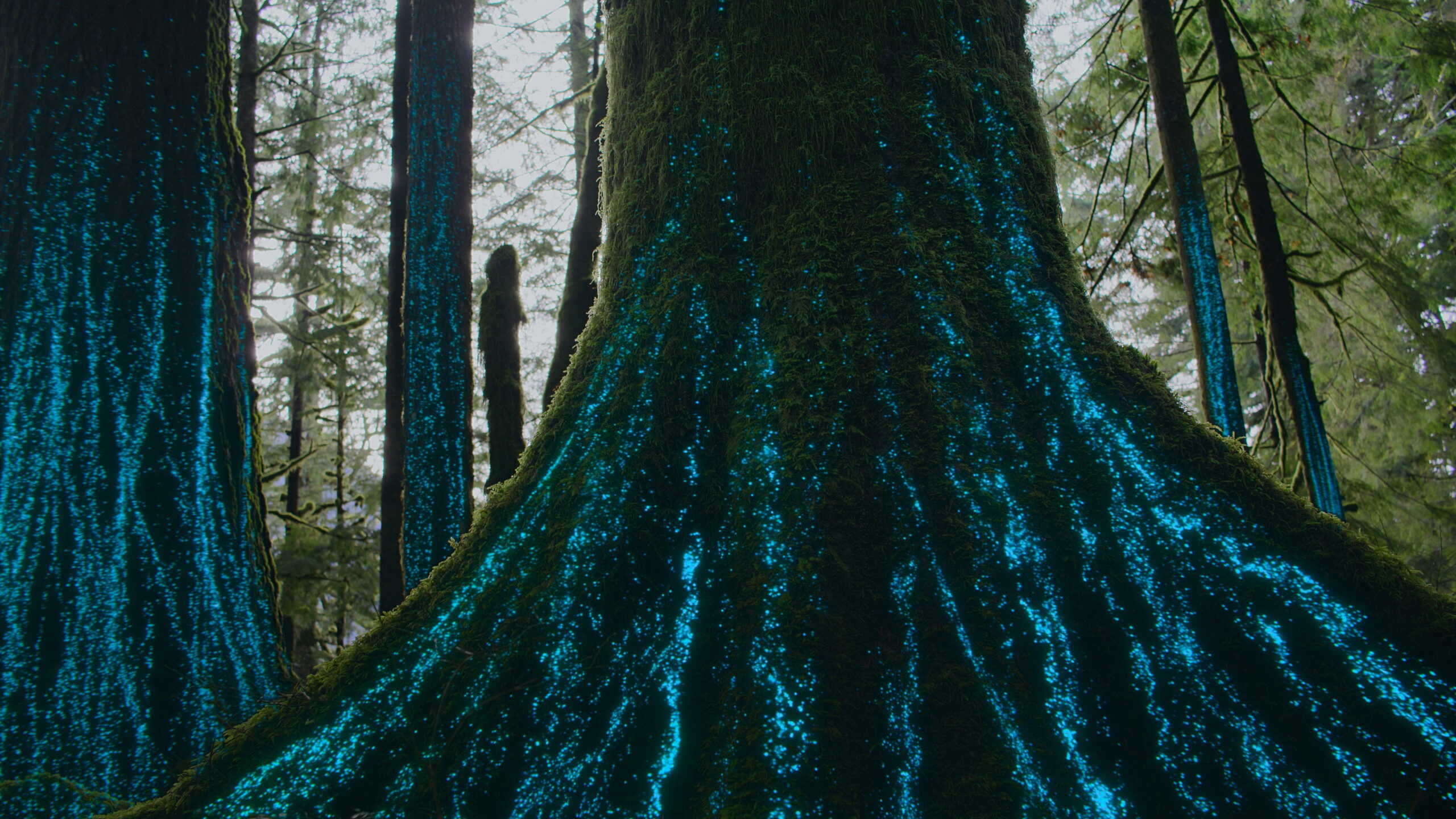 Our Living World: Stunning Visuals Overcome Familiar Storytelling