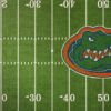 “Untold: Swamp Kings” (2023) Docuserie su Netflix