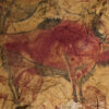 Close-up of a red-and-black bison painted on the ceiling of Altamira Cave, northern Spain, approximately 14,000 years old