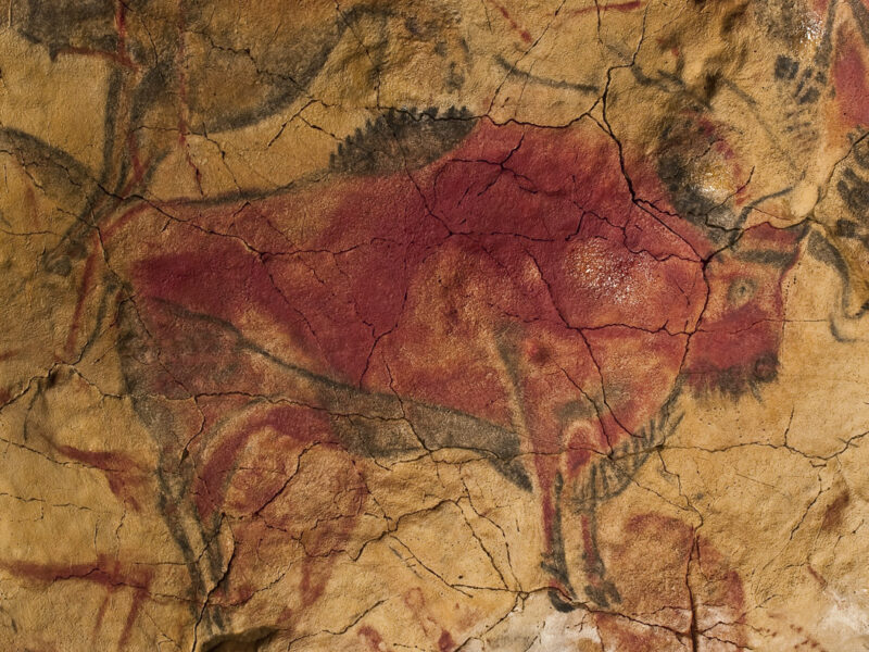 イベリア半島の洞窟の壁が1万6700年間にわたって人類のDNAを保存していた——絵のない壁でも