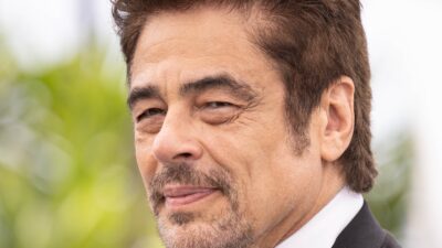 Benicio del Toro in Protective Custody
